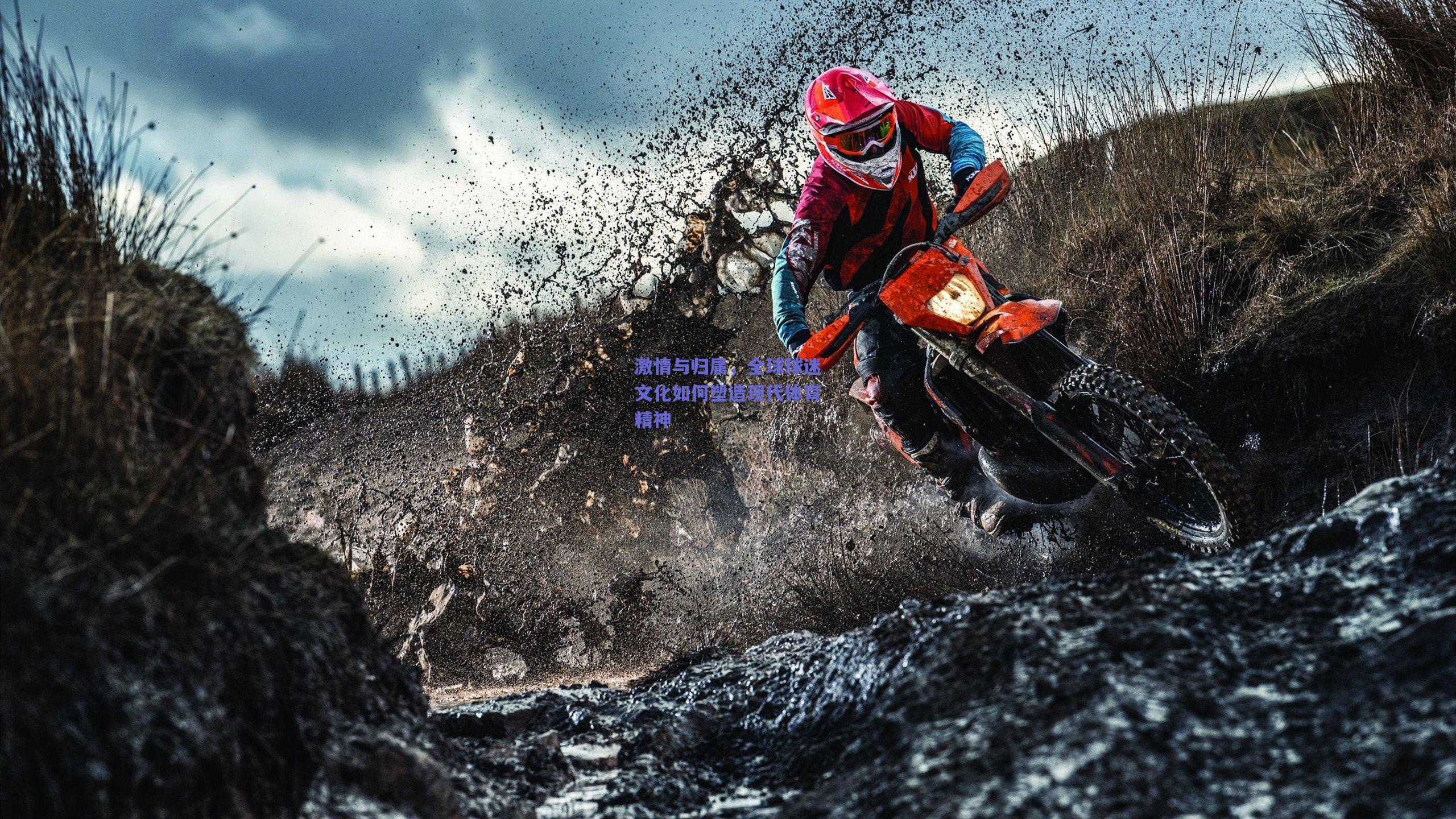 激情与归属，全球球迷文化如何塑造现代体育精神